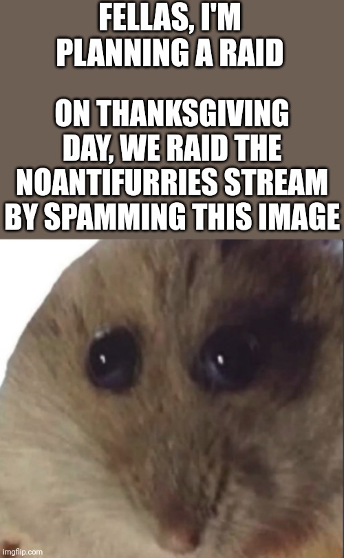 It's gonna be great | FELLAS, I'M PLANNING A RAID; ON THANKSGIVING DAY, WE RAID THE NOANTIFURRIES STREAM BY SPAMMING THIS IMAGE | image tagged in hampter,raid | made w/ Imgflip meme maker