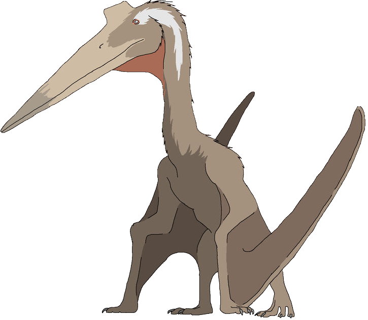 Quetzalcoatlus (Male) Blank Meme Template