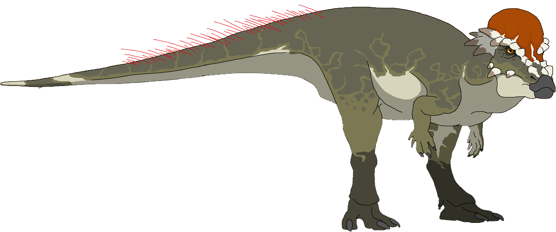 Pachycephalosaurus (Female) Blank Meme Template