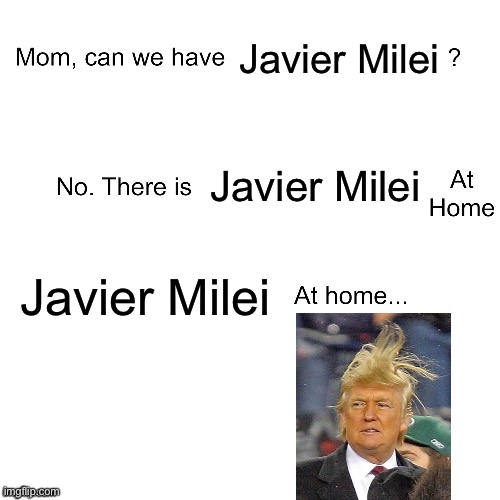 Mom can we have | Javier Milei; Javier Milei; Javier Milei | image tagged in mom can we have | made w/ Imgflip meme maker