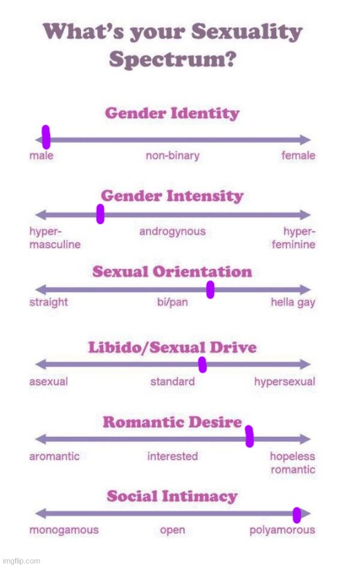 my repost of this | image tagged in what's your sexuality spectrum | made w/ Imgflip meme maker