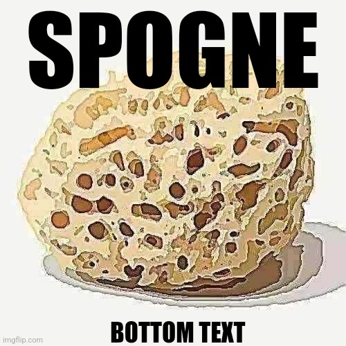 SPOGNE; BOTTOM TEXT | made w/ Imgflip meme maker