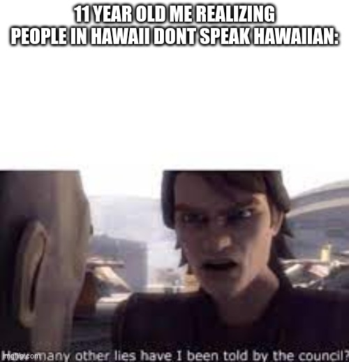 My trip to Hawaii | 11 YEAR OLD ME REALIZING PEOPLE IN HAWAII DONT SPEAK HAWAIIAN: | image tagged in what other lies have i been told by the council | made w/ Imgflip meme maker