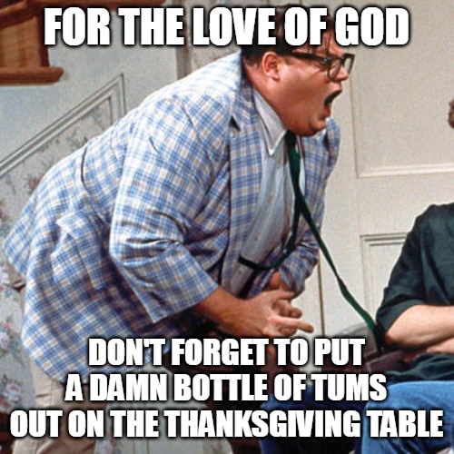 Chris Farley For the love of god | FOR THE LOVE OF GOD; DON'T FORGET TO PUT A DAMN BOTTLE OF TUMS OUT ON THE THANKSGIVING TABLE | image tagged in chris farley for the love of god,meme,memes,funny,thanksgiving | made w/ Imgflip meme maker
