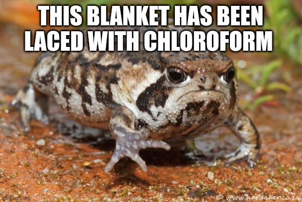 Grumpy Toad | THIS BLANKET HAS BEEN LACED WITH CHLOROFORM | image tagged in memes,grumpy toad | made w/ Imgflip meme maker