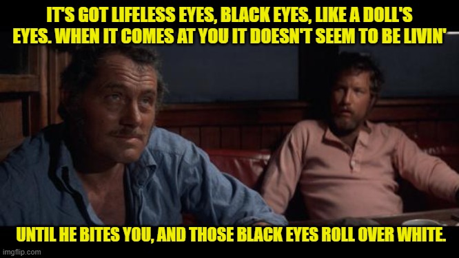 Jaws Indianapolis Quint | IT'S GOT LIFELESS EYES, BLACK EYES, LIKE A DOLL'S EYES. WHEN IT COMES AT YOU IT DOESN'T SEEM TO BE LIVIN' UNTIL HE BITES YOU, AND THOSE BLAC | image tagged in jaws indianapolis quint | made w/ Imgflip meme maker