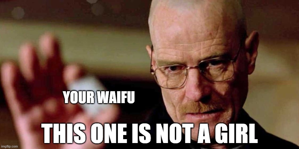 Anime memes but it's replaced with Breaking Bad 