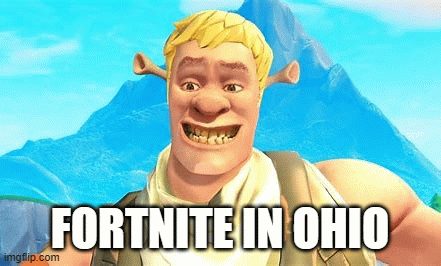 fortnite in ohio | ME; FORTNITE IN OHIO | image tagged in gifs,ohio | made w/ Imgflip images-to-gif maker