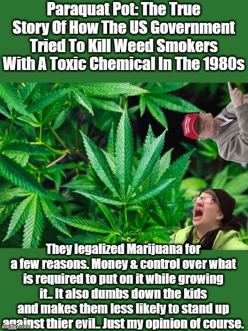 The GOV. would never do that .. | Paraquat Pot: The True Story Of How The US Government Tried To Kill Weed Smokers With A Toxic Chemical In The 1980s; They legalized Marijuana for a few reasons. Money & control over what is required to put on it while growing it.. It also dumbs down the kids and makes them less likely to stand up against thier evil.. Just my opinion of course. | image tagged in democrats,republicans,psychopaths and serial killers | made w/ Imgflip meme maker