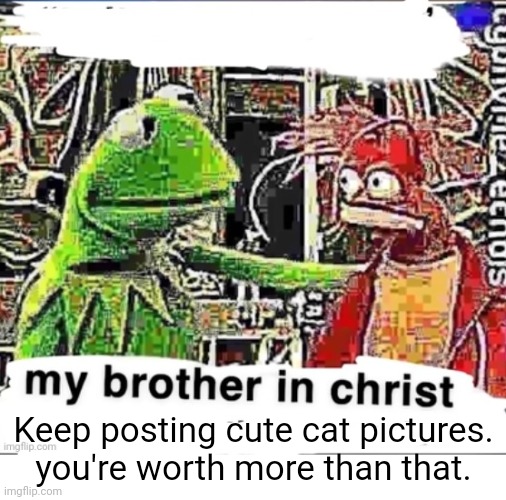 My brother in Christ | Keep posting cute cat pictures.
you're worth more than that. | image tagged in my brother in christ | made w/ Imgflip meme maker