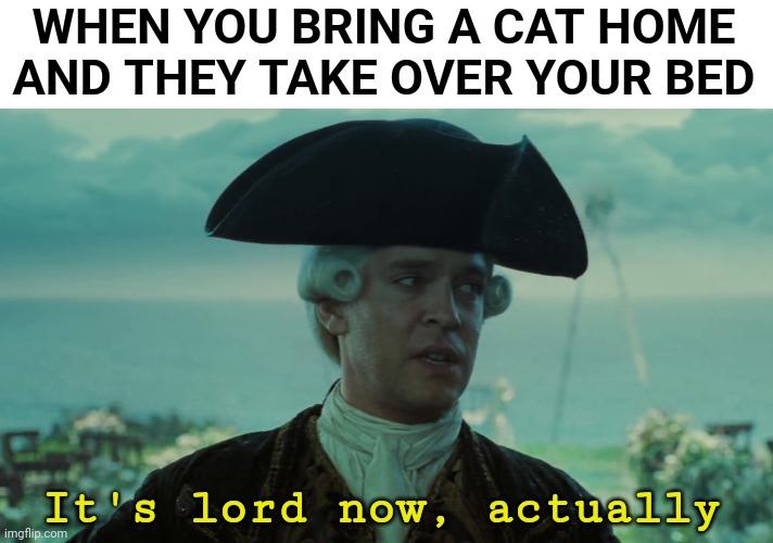 THAT'S HOW CATS ARE | WHEN YOU BRING A CAT HOME AND THEY TAKE OVER YOUR BED; It's lord now, actually | image tagged in cats,funny cats,pirates of the caribbean | made w/ Imgflip meme maker
