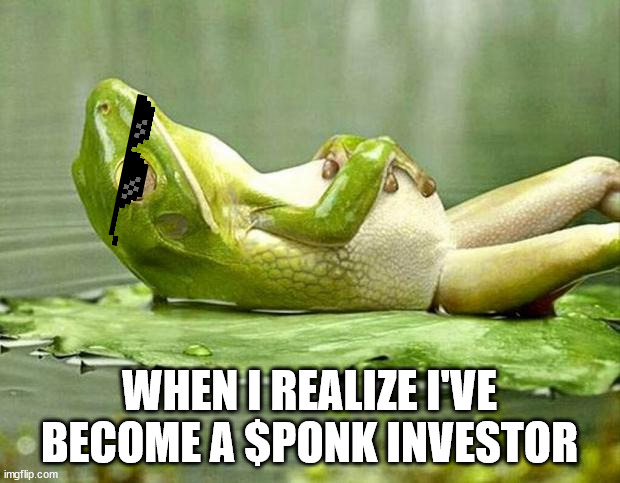 Lazy frog | WHEN I REALIZE I'VE BECOME A $PONK INVESTOR | image tagged in lazy frog | made w/ Imgflip meme maker