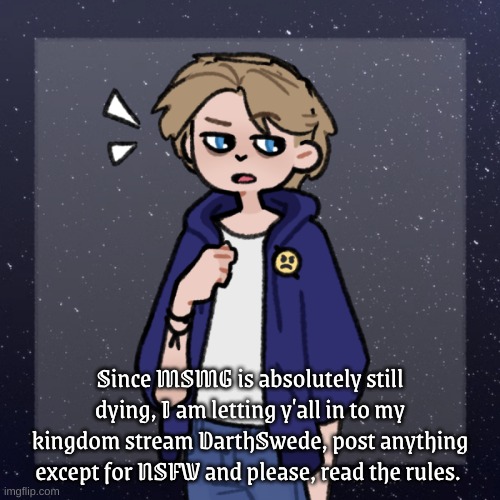 Theres auto approval, but I will still be making sure nothing nsfw reaches the kingdom. (Yes I call my own stream a kingdom | Since MSMG is absolutely still dying, I am letting y'all in to my kingdom stream DarthSwede, post anything except for NSFW and please, read the rules. | image tagged in swede | made w/ Imgflip meme maker