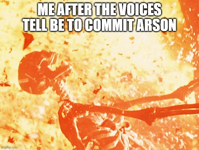 Fire skeleton | ME AFTER THE VOICES TELL BE TO COMMIT ARSON | image tagged in fire skeleton | made w/ Imgflip meme maker