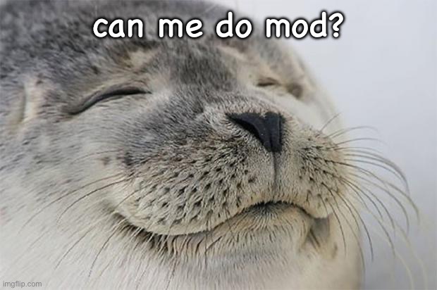Satisfied Seal | can me do mod? | image tagged in memes,satisfied seal | made w/ Imgflip meme maker