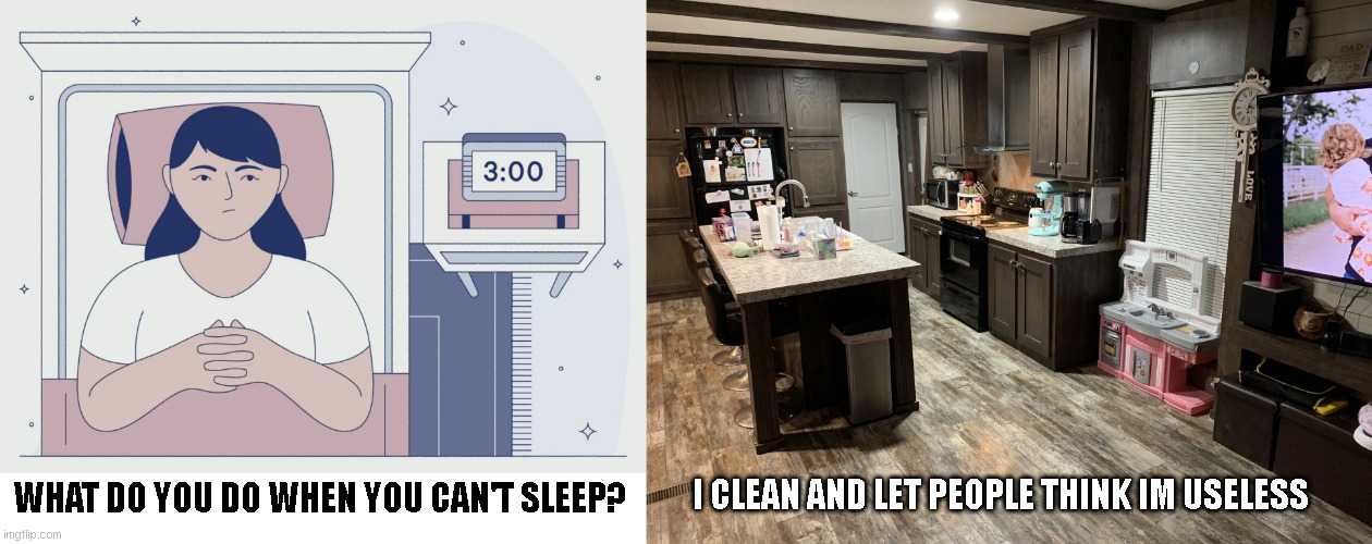 tired cleaning | WHAT DO YOU DO WHEN YOU CAN'T SLEEP? I CLEAN AND LET PEOPLE THINK IM USELESS | image tagged in cleaning | made w/ Imgflip meme maker