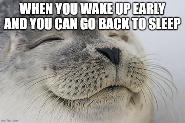 free Shaobing | WHEN YOU WAKE UP EARLY AND YOU CAN GO BACK TO SLEEP | image tagged in memes,satisfied seal | made w/ Imgflip meme maker