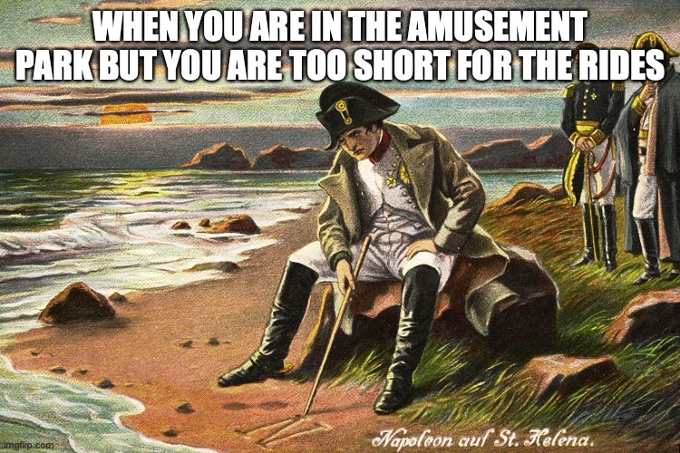 Not that I'm too short | WHEN YOU ARE IN THE AMUSEMENT PARK BUT YOU ARE TOO SHORT FOR THE RIDES | image tagged in there is nothing we can do | made w/ Imgflip meme maker