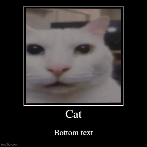 this is currently my backround | Cat | Bottom text | image tagged in funny,demotivationals | made w/ Imgflip demotivational maker