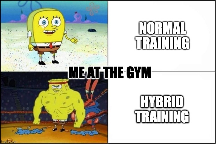 Weak vs Strong Spongebob | NORMAL TRAINING; ME AT THE GYM; HYBRID TRAINING | image tagged in weak vs strong spongebob | made w/ Imgflip meme maker