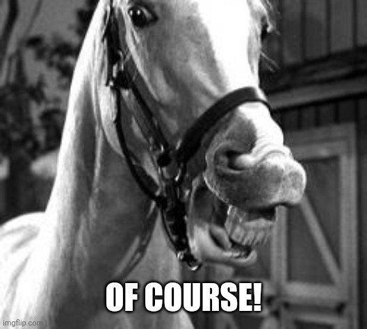 mr. ed | OF COURSE! | image tagged in mr ed | made w/ Imgflip meme maker