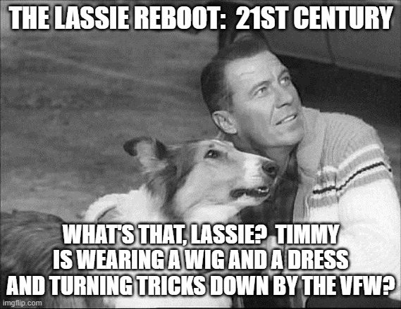 What's that Lassie? | THE LASSIE REBOOT:  21ST CENTURY; WHAT'S THAT, LASSIE?  TIMMY IS WEARING A WIG AND A DRESS AND TURNING TRICKS DOWN BY THE VFW? | image tagged in what's that lassie | made w/ Imgflip meme maker