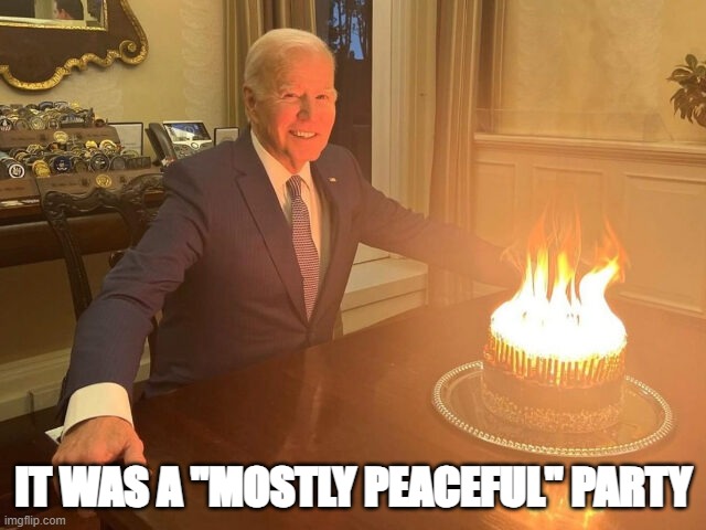 MOSTLY PEACEFUL | IT WAS A "MOSTLY PEACEFUL" PARTY | image tagged in funny | made w/ Imgflip meme maker
