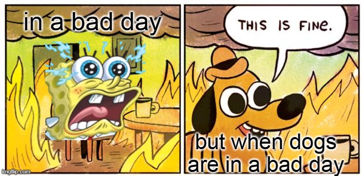 This Is Fine Meme | in a bad day; but when dogs are in a bad day | image tagged in memes,this is fine | made w/ Imgflip meme maker