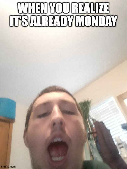 WHEN YOU REALIZE IT'S ALREADY MONDAY | made w/ Imgflip meme maker