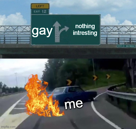 Left Exit 12 Off Ramp | gay; nothing intresting; me | image tagged in memes,left exit 12 off ramp | made w/ Imgflip meme maker
