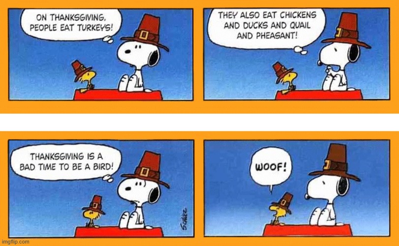 image tagged in memes,comics/cartoons,thanksgiving,bad time,birds,woof | made w/ Imgflip meme maker
