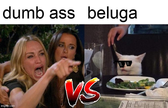 Woman Yelling At Cat | dumb ass; beluga | image tagged in memes,woman yelling at cat | made w/ Imgflip meme maker