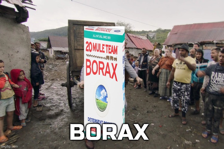 This is the first thing i thought of when i woke up and i had to make it | BORAX | image tagged in borat i go to america,horrible pun | made w/ Imgflip meme maker