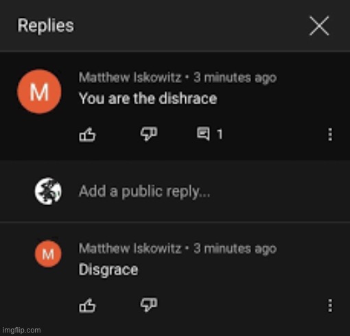 You are the dishrace | image tagged in comments | made w/ Imgflip meme maker