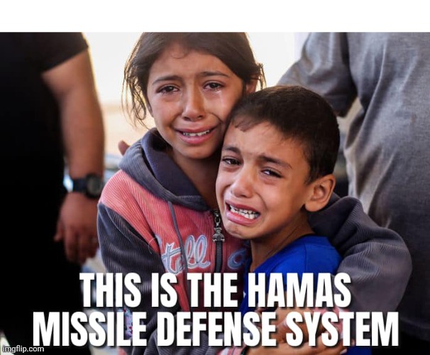 The Hamas Missile Defense System | THIS IS THE HAMAS MISSILE DEFENSE SYSTEM | image tagged in the hamas missile defense system | made w/ Imgflip meme maker