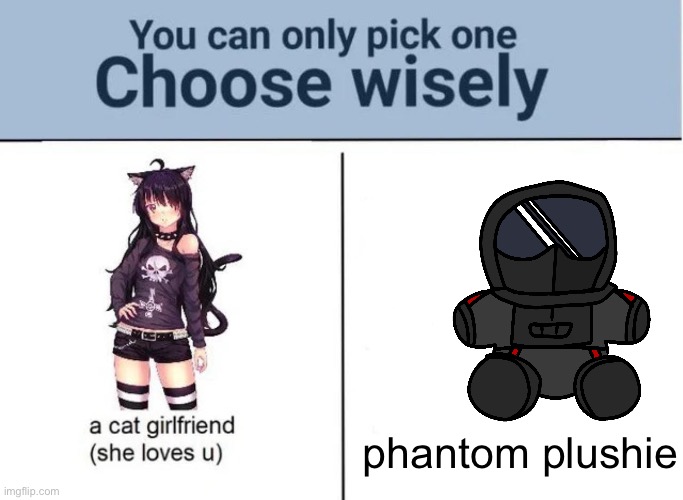 Choose wisely | phantom plushie | image tagged in choose wisely | made w/ Imgflip meme maker