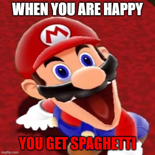 Mario is happy | WHEN YOU ARE HAPPY; YOU GET SPAGHETTI | image tagged in funny meme | made w/ Imgflip meme maker