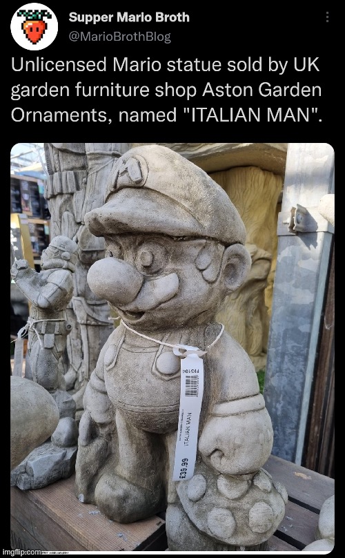 Italian man | image tagged in mario | made w/ Imgflip meme maker