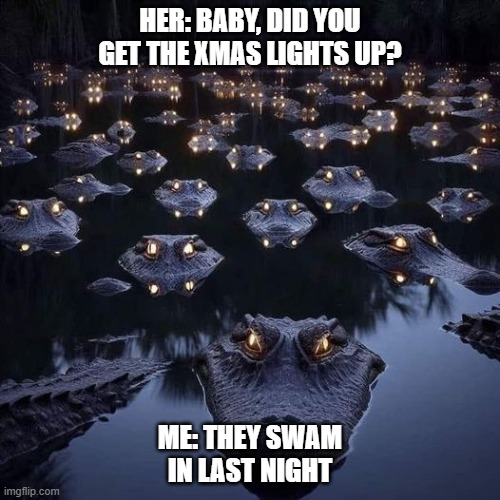 Florida Christmas Lights | HER: BABY, DID YOU GET THE XMAS LIGHTS UP? ME: THEY SWAM IN LAST NIGHT | image tagged in christmas,funny memes,funny | made w/ Imgflip meme maker