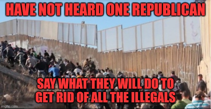 Illegals | HAVE NOT HEARD ONE REPUBLICAN; SAY WHAT THEY WILL DO TO GET RID OF ALL THE ILLEGALS | image tagged in illegal immigrants,voters | made w/ Imgflip meme maker