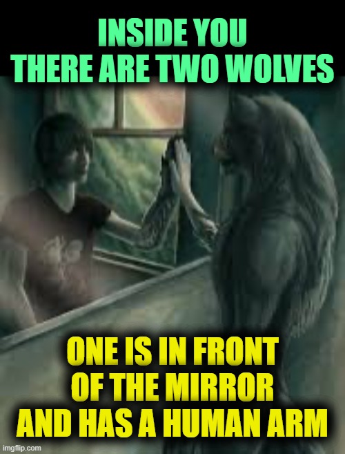 . | INSIDE YOU
THERE ARE TWO WOLVES; ONE IS IN FRONT OF THE MIRROR AND HAS A HUMAN ARM | image tagged in how it feels like to be an alpha | made w/ Imgflip meme maker