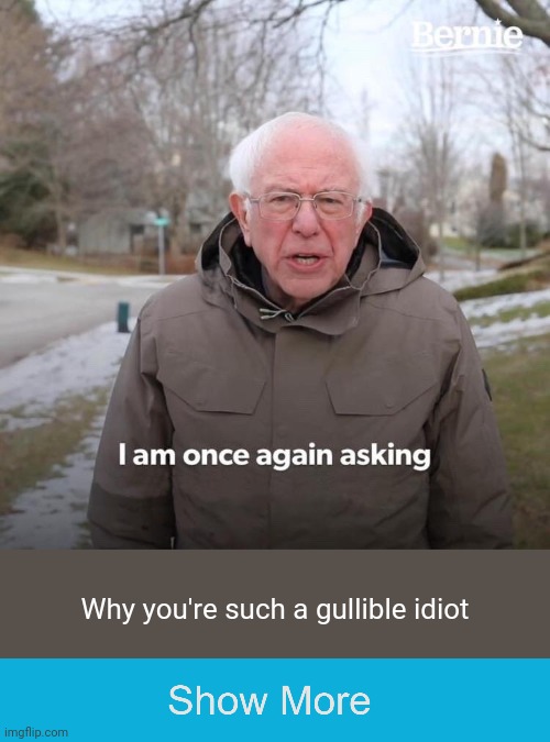 ‎ | Why you're such a gullible idiot | image tagged in memes,bernie i am once again asking for your support,nohitwonder,gullible,show more | made w/ Imgflip meme maker