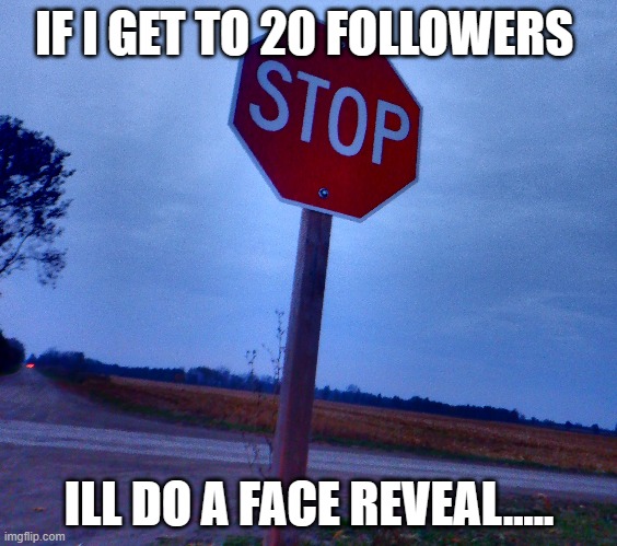 maybe idk | IF I GET TO 20 FOLLOWERS; ILL DO A FACE REVEAL..... | image tagged in face reveal | made w/ Imgflip meme maker
