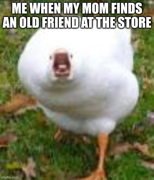 Sreaming Duck Original | ME WHEN MY MOM FINDS AN OLD FRIEND AT THE STORE | image tagged in sreaming duck original | made w/ Imgflip meme maker