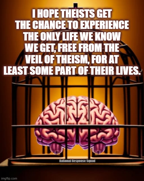 Let us hope | I HOPE THEISTS GET THE CHANCE TO EXPERIENCE THE ONLY LIFE WE KNOW WE GET, FREE FROM THE VEIL OF THEISM, FOR AT LEAST SOME PART OF THEIR LIVES. Rational Response Squad | made w/ Imgflip meme maker