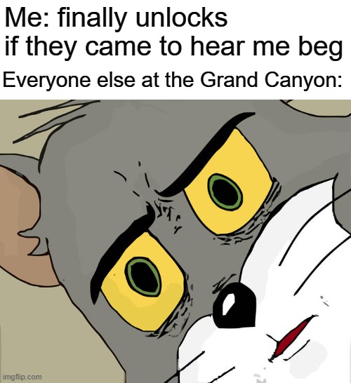 Unsettled Tom | Me: finally unlocks if they came to hear me beg; Everyone else at the Grand Canyon: | image tagged in memes,unsettled tom | made w/ Imgflip meme maker
