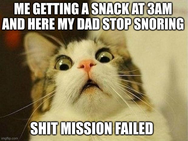 Scared Cat | ME GETTING A SNACK AT 3AM AND HERE MY DAD STOP SNORING; SHIT MISSION FAILED | image tagged in memes,scared cat | made w/ Imgflip meme maker