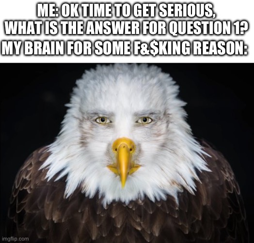 And that’s why I’m failing :) | ME: OK TIME TO GET SERIOUS, WHAT IS THE ANSWER FOR QUESTION 1? MY BRAIN FOR SOME F&$KING REASON: | image tagged in bald eagle stare,test,funny | made w/ Imgflip meme maker