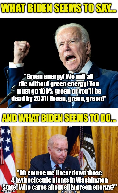 Make up your minds! Are we dying or not from global warming? I think not, as the left is tearing down hydroelectric plants. | WHAT BIDEN SEEMS TO SAY... "Green energy! We will all die without green energy! You must go 100% green or you'll be dead by 2031! Green, green, green!"; AND WHAT BIDEN SEEMS TO DO... "Oh course we'll tear down those 4 hydroelectric plants in Washington State! Who cares about silly green energy?" | image tagged in joe biden's fist,hypocrisy,climate change,power,liberal logic,brainwashed | made w/ Imgflip meme maker