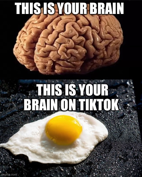 This is your brain | THIS IS YOUR BRAIN; THIS IS YOUR BRAIN ON TIKTOK | image tagged in this is your brain,tiktok,tiktok sucks | made w/ Imgflip meme maker